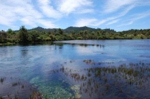 Te Waikoropupu Springs Te Waikoropupu Springs