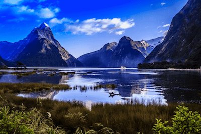 que-hacer-en-queenstown-con-ninos-milford-sounds-track Que hacer en Queenstown con niños- Milford sounds track