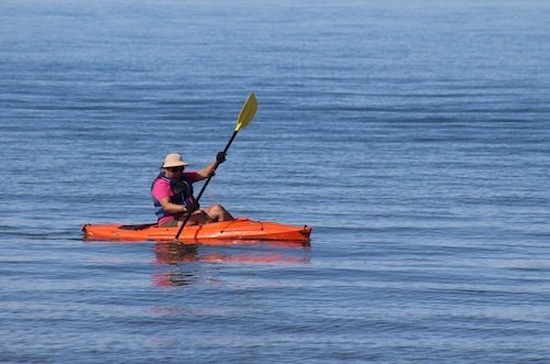 Kayaking Kayaking en Dunedin