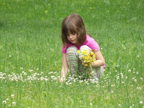 Primavera-de-nueva-Zelanda Mejor época para visitar Nueva Zelanda