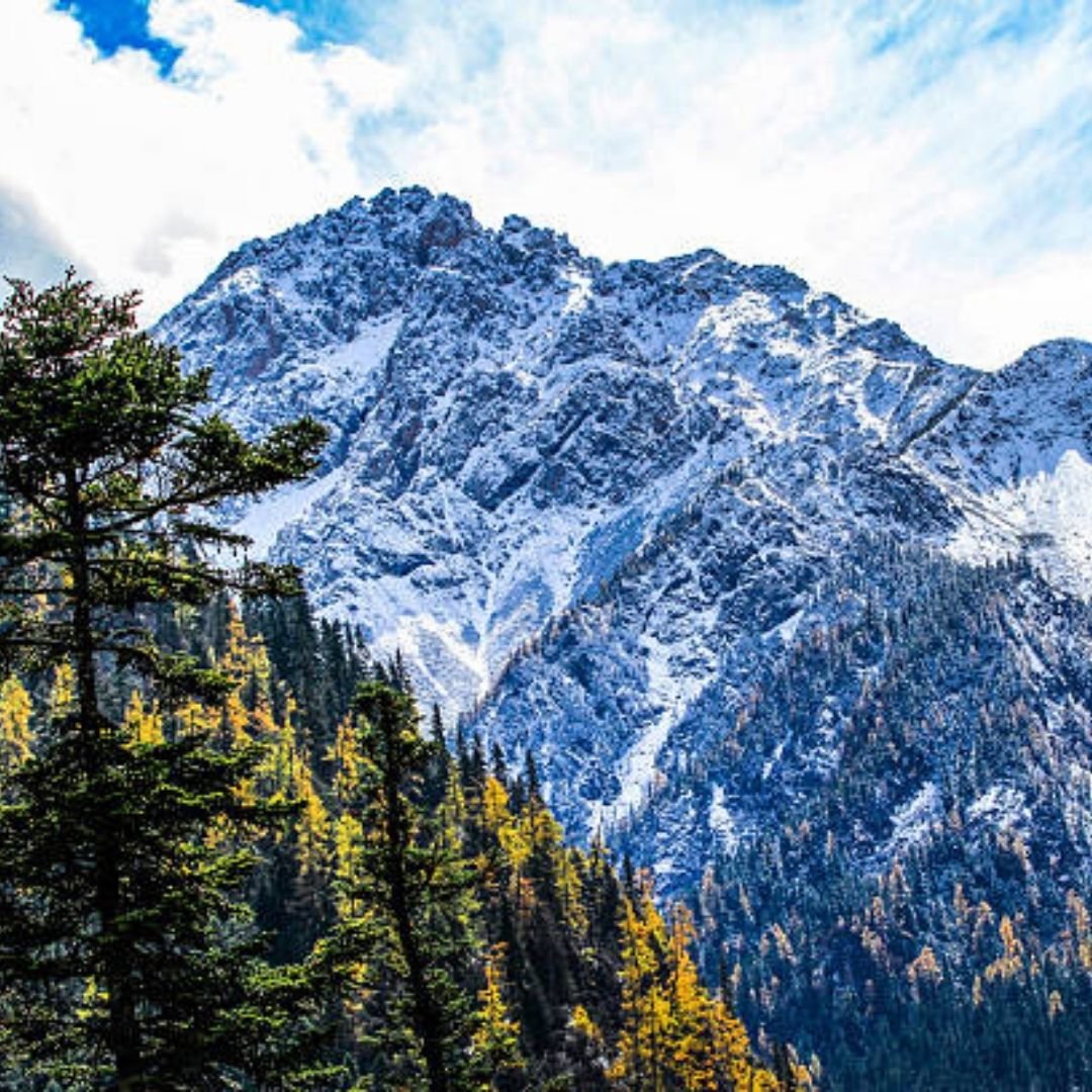 australian-alpes Alpes australianos